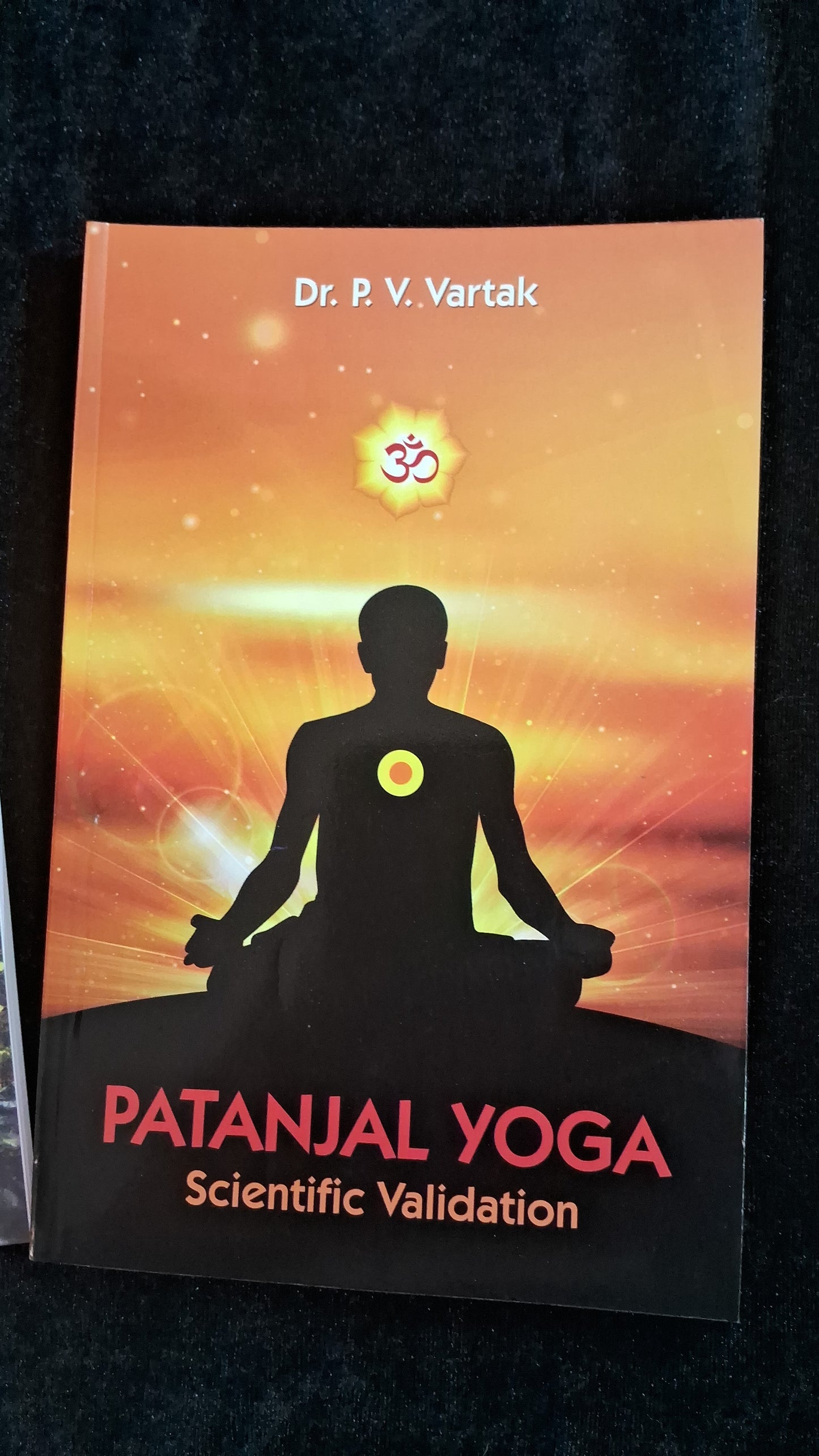 Patanjal Yog Vidnyananishth Nirupan English Edition by P V Vartak पातंजल योग English Edition