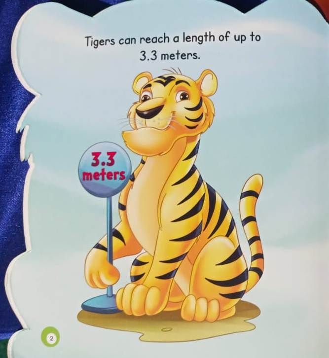 All about me TIGER including FACTS & ACTIVITY