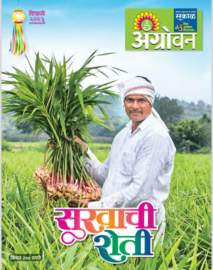Agrowan Diwali Ank 2025 अ‍ॅग्रोवन दिवाळी अंक 2025 Sakal
