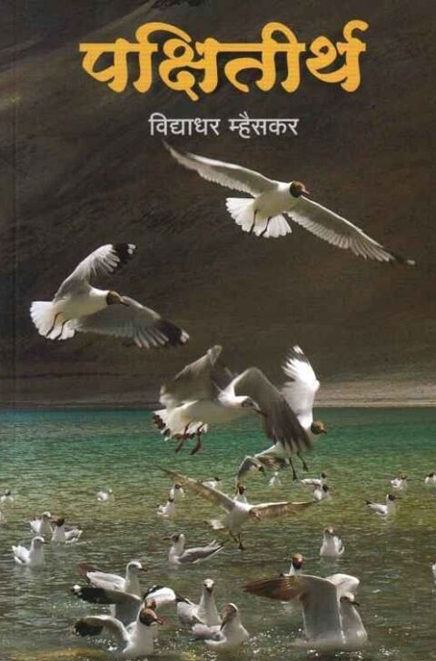 Pakshitirth by Vidyadhar Mhaiskar पक्षितीर्थ