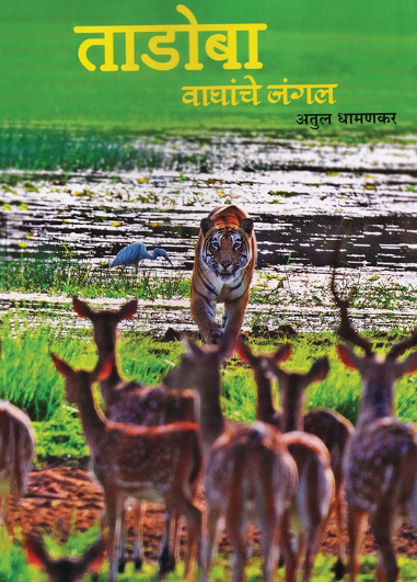 Tadoba Waghanche Jungle - ताडोबा वाघांचे जंगल