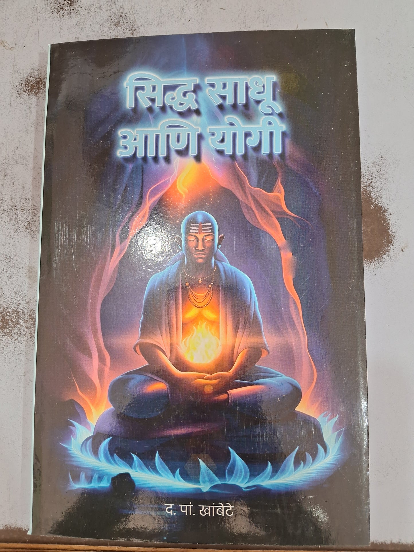 Siddha Sadhu Aani Yogi by D P Khambote